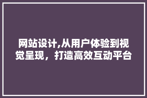 网站设计,从用户体验到视觉呈现，打造高效互动平台