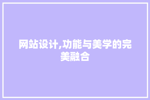 网站设计,功能与美学的完美融合