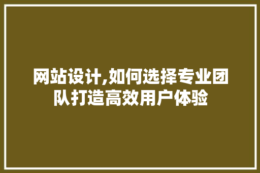 网站设计,如何选择专业团队打造高效用户体验