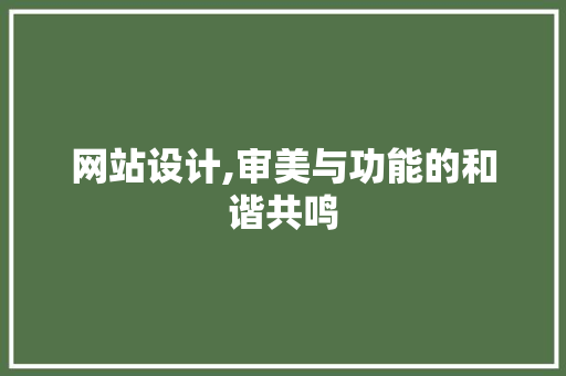 网站设计,审美与功能的和谐共鸣