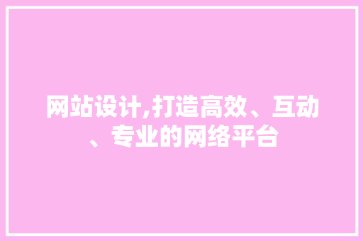 网站设计,打造高效、互动、专业的网络平台