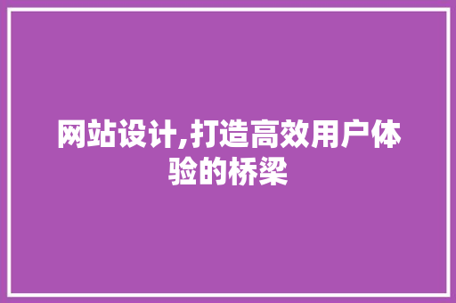 网站设计,打造高效用户体验的桥梁