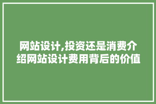 网站设计,投资还是消费介绍网站设计费用背后的价值 网站设计,投资还是消费介绍网站设计费用背后的价值 百度SEO