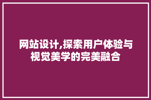 网站设计,探索用户体验与视觉美学的完美融合