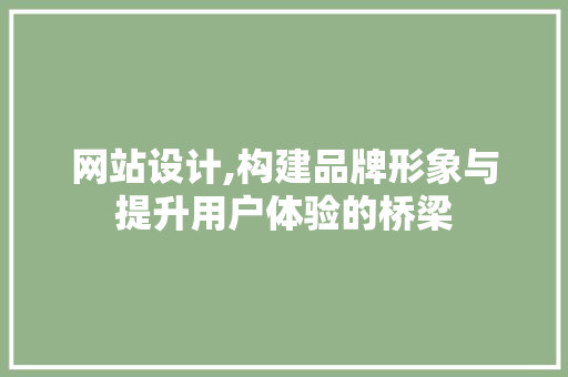 网站设计,构建品牌形象与提升用户体验的桥梁