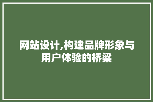 网站设计,构建品牌形象与用户体验的桥梁