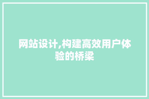 网站设计,构建高效用户体验的桥梁