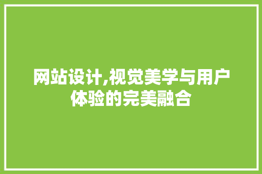 网站设计,视觉美学与用户体验的完美融合