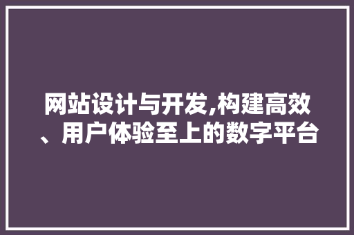 网站设计与开发,构建高效、用户体验至上的数字平台