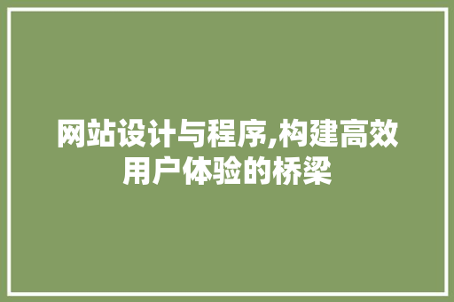 网站设计与程序,构建高效用户体验的桥梁