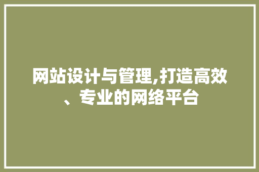 网站设计与管理,打造高效、专业的网络平台