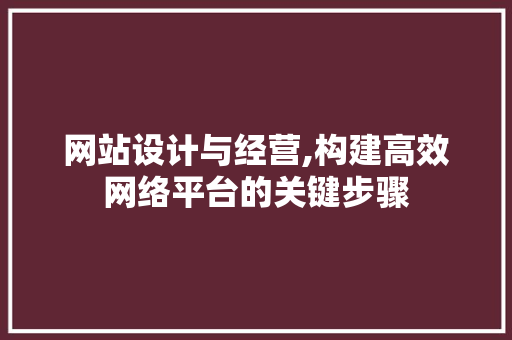 网站设计与经营,构建高效网络平台的关键步骤