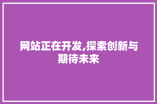 网站正在开发,探索创新与期待未来