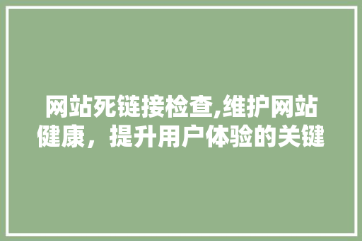 网站死链接检查,维护网站健康，提升用户体验的关键步骤