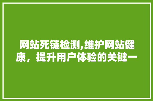 网站死链检测,维护网站健康，提升用户体验的关键一步