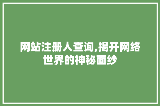 网站注册人查询,揭开网络世界的神秘面纱