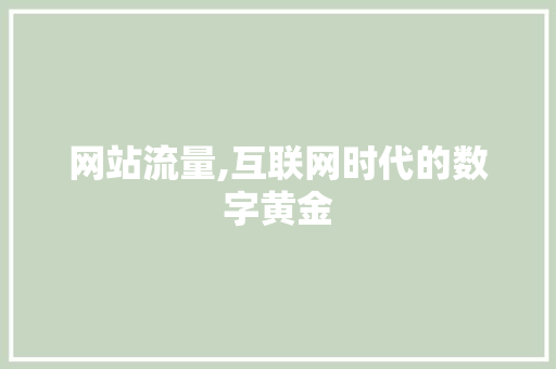 网站流量,互联网时代的数字黄金