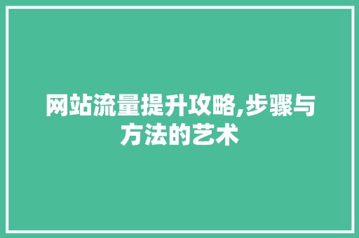 网站流量提升攻略,步骤与方法的艺术
