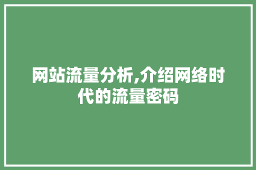 网站流量分析,介绍网络时代的流量密码