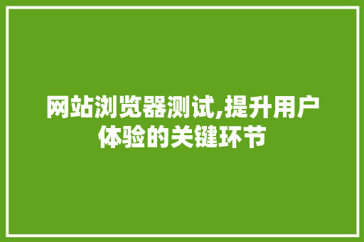 网站浏览器测试,提升用户体验的关键环节 网站浏览器测试,提升用户体验的关键环节 神马SEO