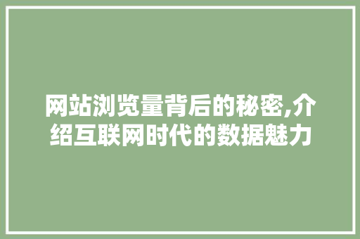 网站浏览量背后的秘密,介绍互联网时代的数据魅力 网站浏览量背后的秘密,介绍互联网时代的数据魅力 必应SEO