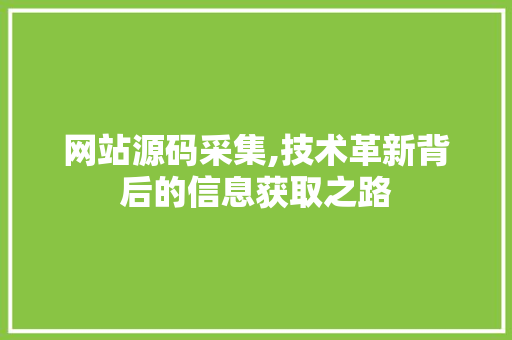 网站源码采集,技术革新背后的信息获取之路