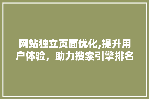 网站独立页面优化,提升用户体验，助力搜索引擎排名