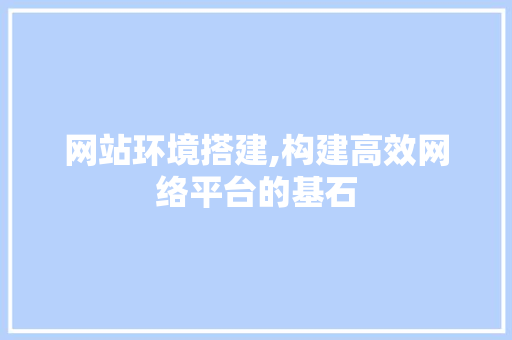 网站环境搭建,构建高效网络平台的基石 网站环境搭建,构建高效网络平台的基石 百度SEO