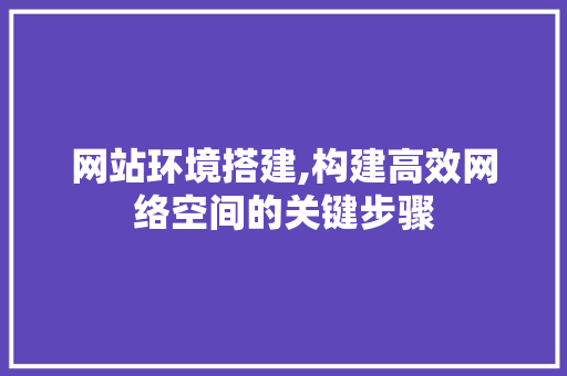 网站环境搭建,构建高效网络空间的关键步骤