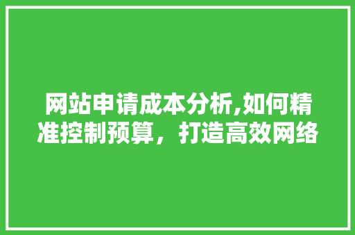 网站申请成本分析,如何精准控制预算，打造高效网络平台