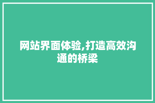 网站界面体验,打造高效沟通的桥梁