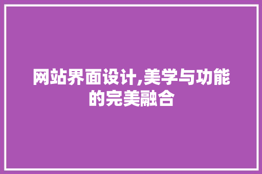 网站界面设计,美学与功能的完美融合