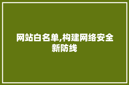 网站白名单,构建网络安全新防线