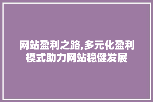 网站盈利之路,多元化盈利模式助力网站稳健发展