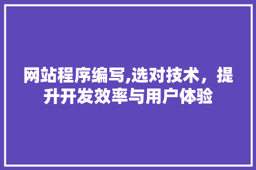 网站程序编写,选对技术，提升开发效率与用户体验