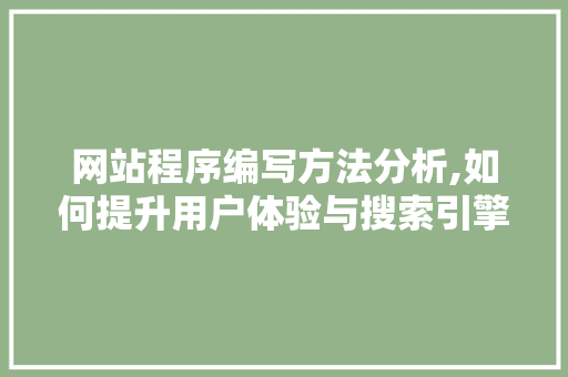 网站程序编写方法分析,如何提升用户体验与搜索引擎排名
