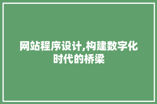 网站程序设计,构建数字化时代的桥梁
