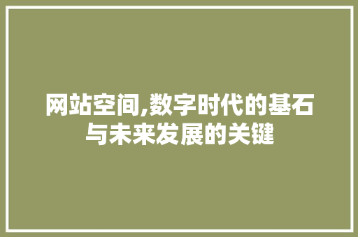 网站空间,数字时代的基石与未来发展的关键