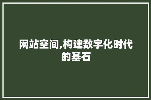 网站空间,构建数字化时代的基石