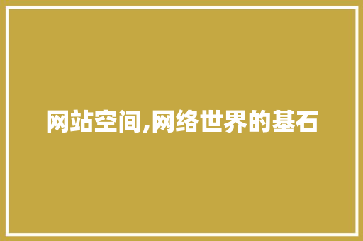 网站空间,网络世界的基石