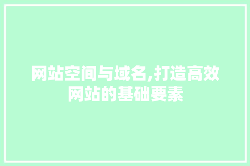 网站空间与域名,打造高效网站的基础要素