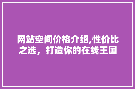 网站空间价格介绍,性价比之选，打造你的在线王国