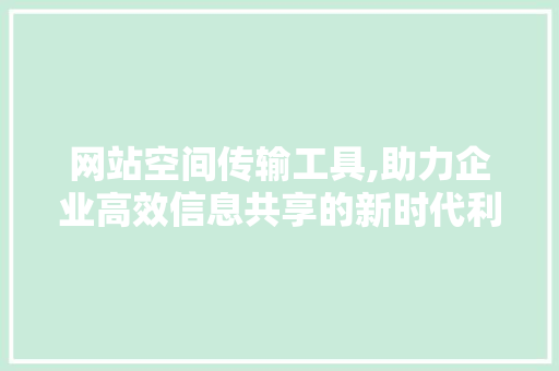 网站空间传输工具,助力企业高效信息共享的新时代利器