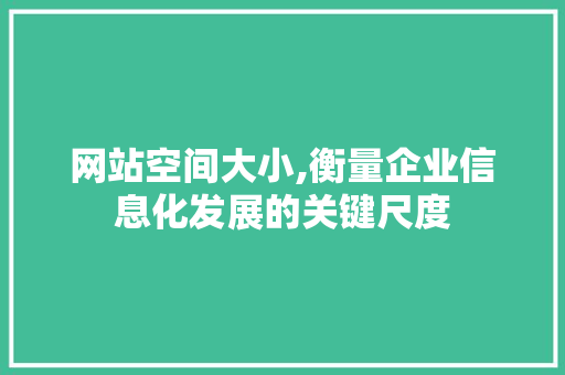 网站空间大小,衡量企业信息化发展的关键尺度