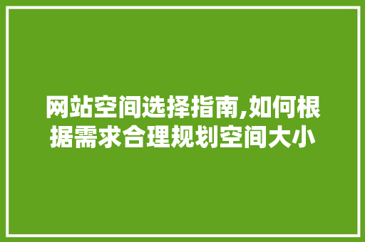 网站空间选择指南,如何根据需求合理规划空间大小