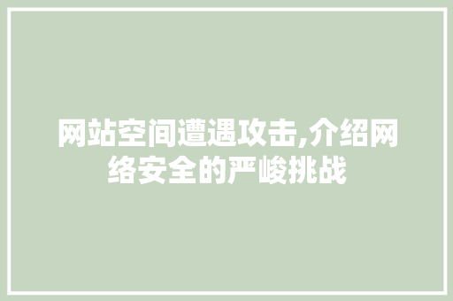 网站空间遭遇攻击,介绍网络安全的严峻挑战