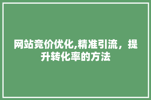 网站竞价优化,精准引流，提升转化率的方法