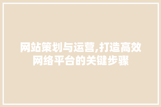 网站策划与运营,打造高效网络平台的关键步骤