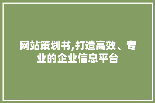 网站策划书,打造高效、专业的企业信息平台