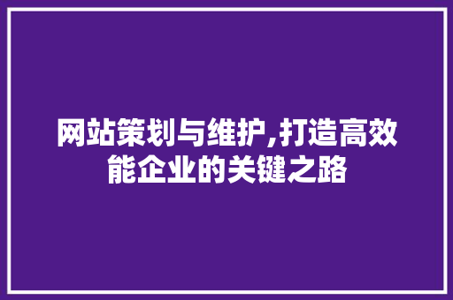 网站策划与维护,打造高效能企业的关键之路